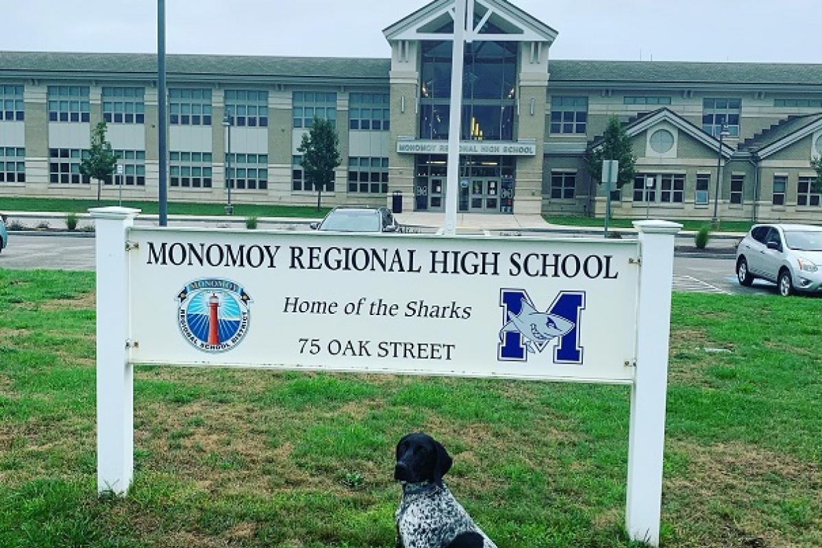K9 Fritz is ready to start the school year!