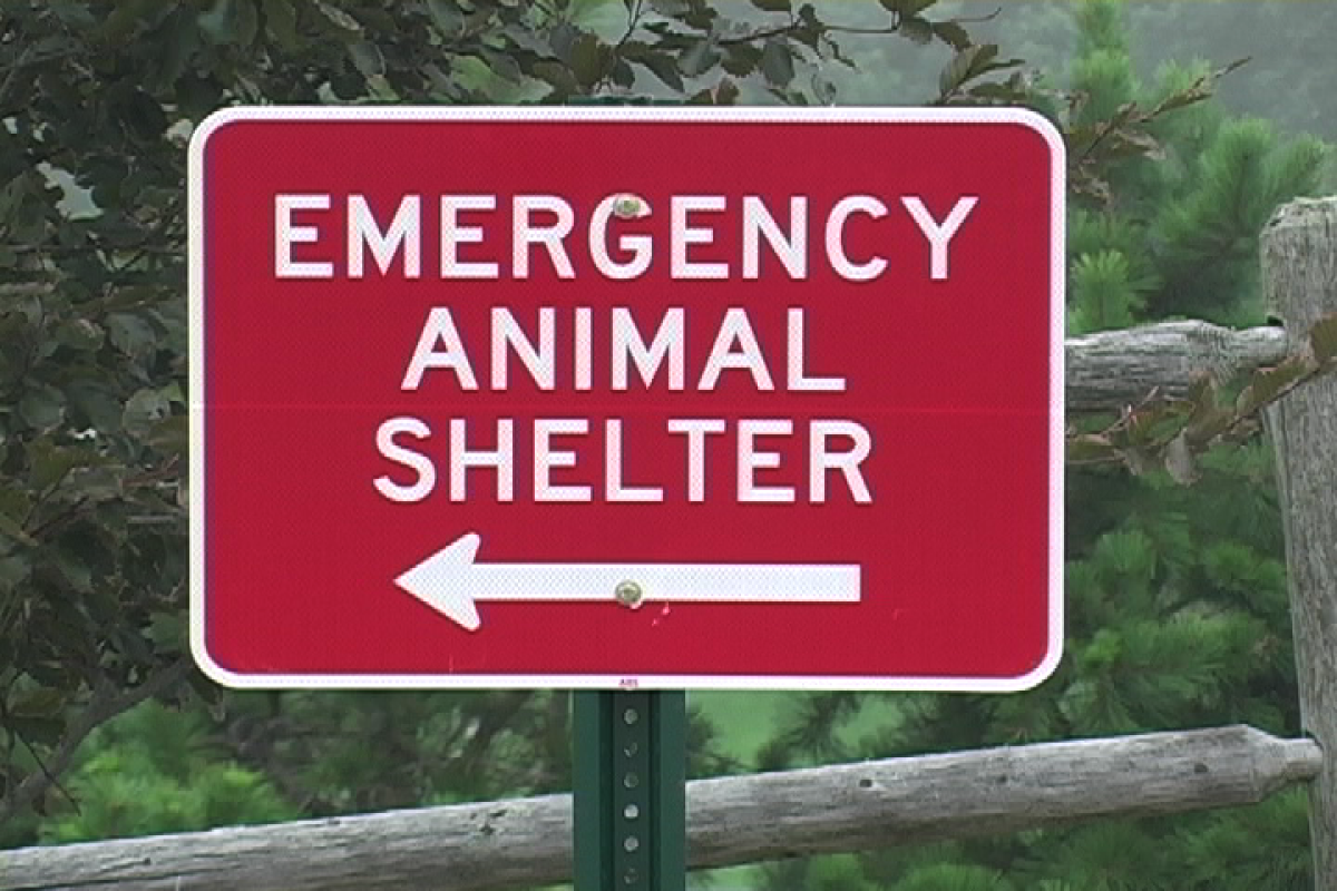 Animal Shelter Sign