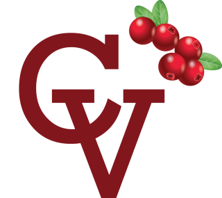 cv logo