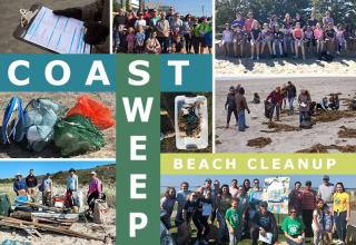 collage of beach cleanup photos