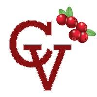 cv logo fill