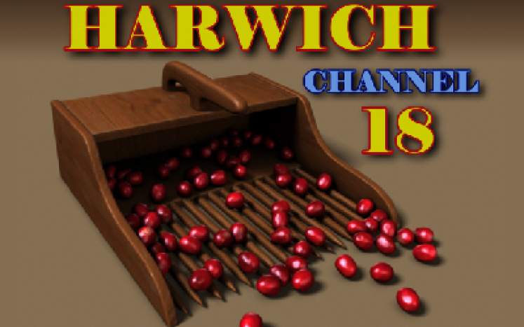Channel 18 cranberry scoop logo